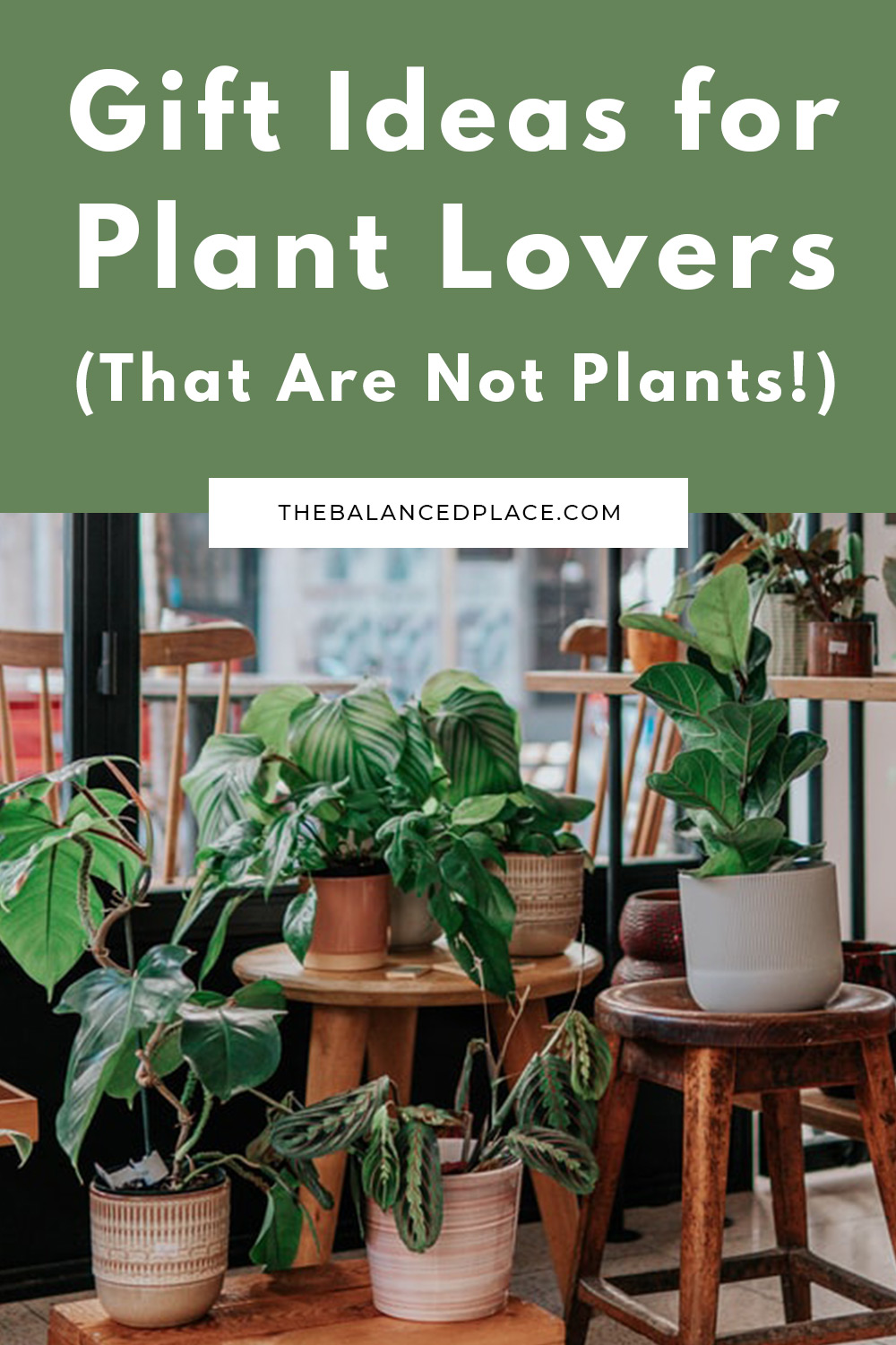 Gift ideas for plant lovers